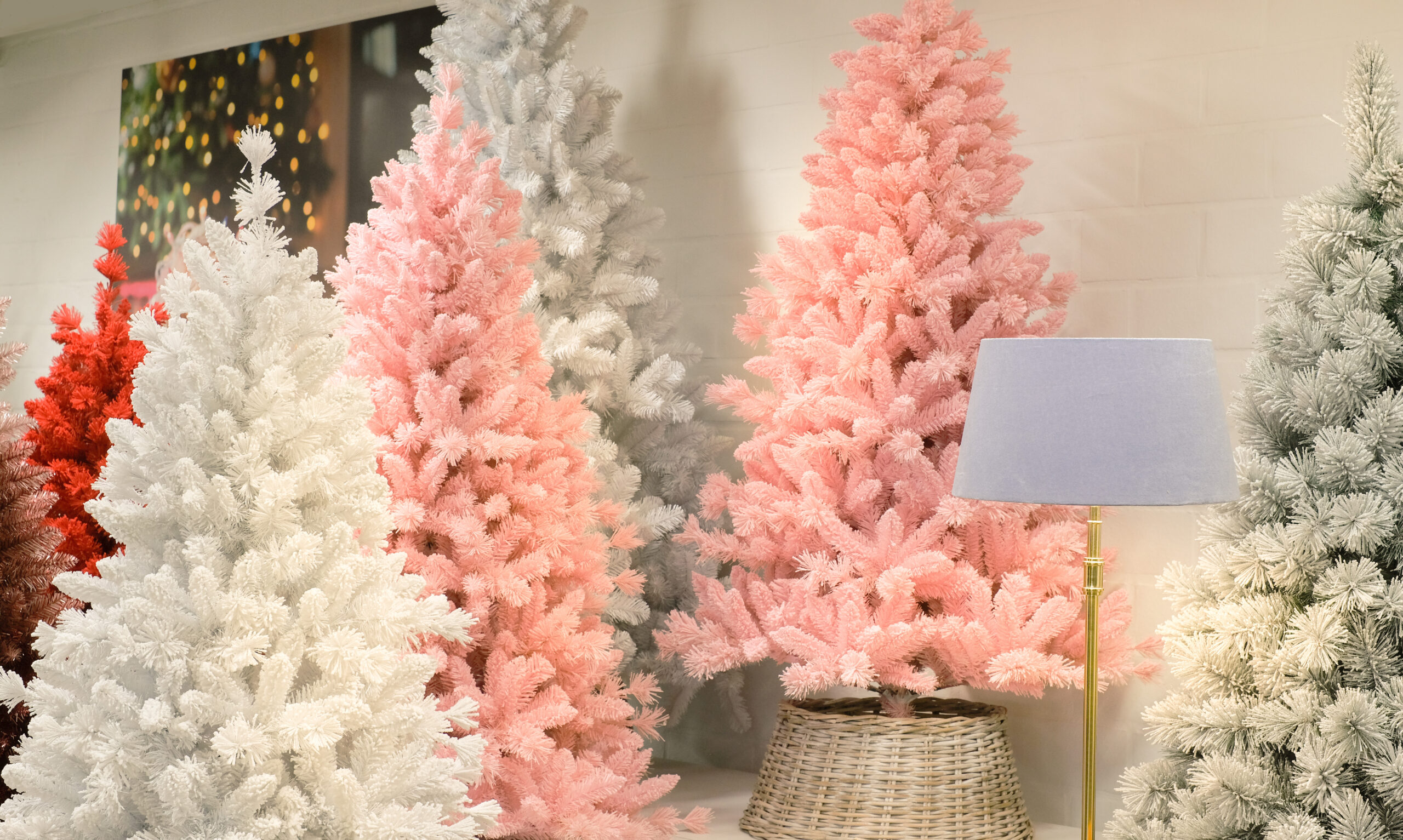 How do I choose a tree? A Perfect Christmas